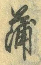 蒲の位置