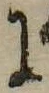 Đã định vị 𛂌