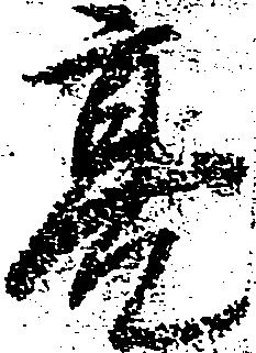 Đã định vị 亮