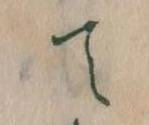 位置定マレルて