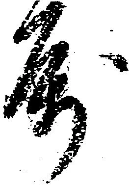 属の位置