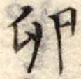 卵 위치 확인됨