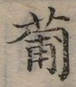 Đã định vị 葡