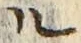 字ル