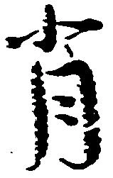 背 위치 확인됨