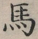 馬 위치 확인됨