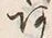 文字 あ