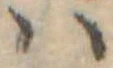 𛂞の位置