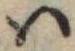 𛂞の位置