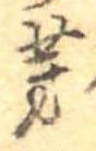 芽 위치 확인됨