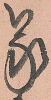 已定位蒙
