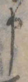 申 위치 확인됨