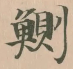 鰂の位置