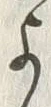 𡨸よ