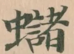 蠩の位置