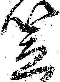 笠 위치 확인됨