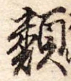 位置定マレル類