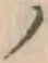 “ノ”字