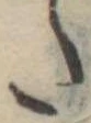 𛁠の位置