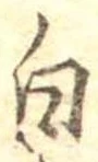 白 위치 확인됨
