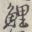 鯉 위치 확인됨