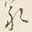 Character 家