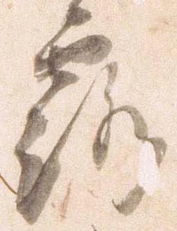 已定位露