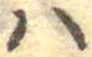𛂞の位置