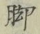 Character 脚
