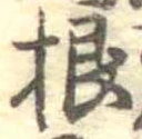 根 위치 확인됨