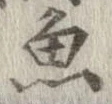 魚，已得其位