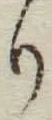 字り