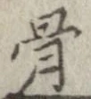 骨 위치 확인됨