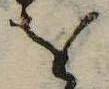 𛄜 위치 확인됨