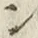 “ン”字