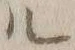 字ル