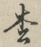 已定位松