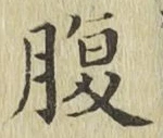 字腹