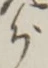 𡨸分