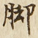 Character 脚
