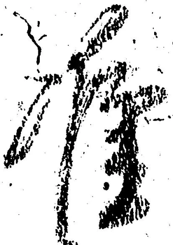 Đã định vị 准