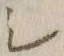 “シ”字