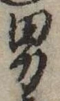 位置 確認된 男
