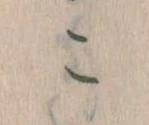 こ 위치 확인됨