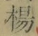 글자 楊
