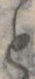 位置 確認된 と