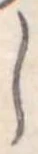 𛁅 위치 확인됨