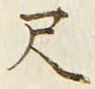 글자 尺