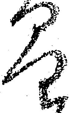 Đã định vị 量