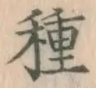 글자 種